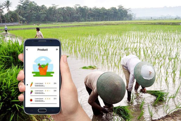 Startup yang Membantu Perekonomian Desa