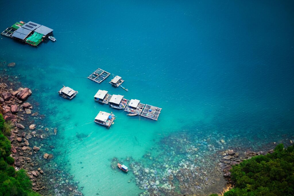 Blue Economy: Menuju Pembangunan Berkelanjutan
