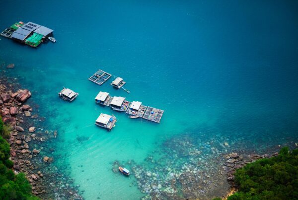 Blue Economy: Menuju Pembangunan Berkelanjutan