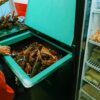 Penggunaan Cold Storage dalam Bisnis dan Manfaatnya