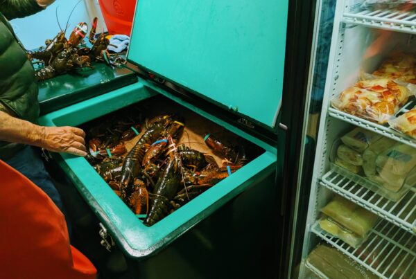 Penggunaan Cold Storage dalam Bisnis dan Manfaatnya